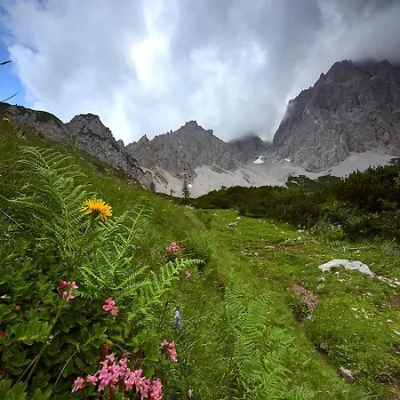 Eisbacherhof Farma Schladming