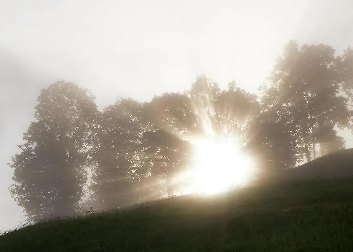 Eisbacherhof * سخلادميخ